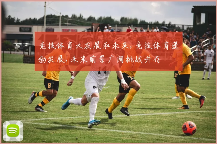 竞技体育大发展和未来,竞技体育蓬勃发展,未来前景广阔挑战并存