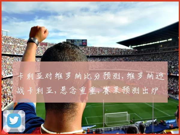 卡利亚对维罗纳比分预测,维罗纳迎战卡利亚,悬念重重,赛果预测出炉,拭目以待